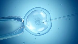 fertilidad