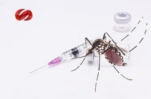 el dengue un problema de salud publica en la region de las americas