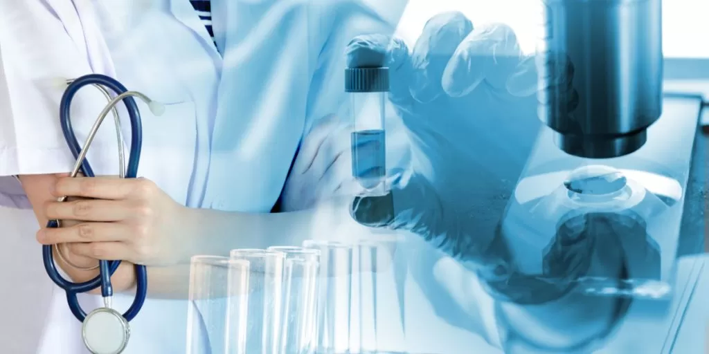 shutterstock 1192071040