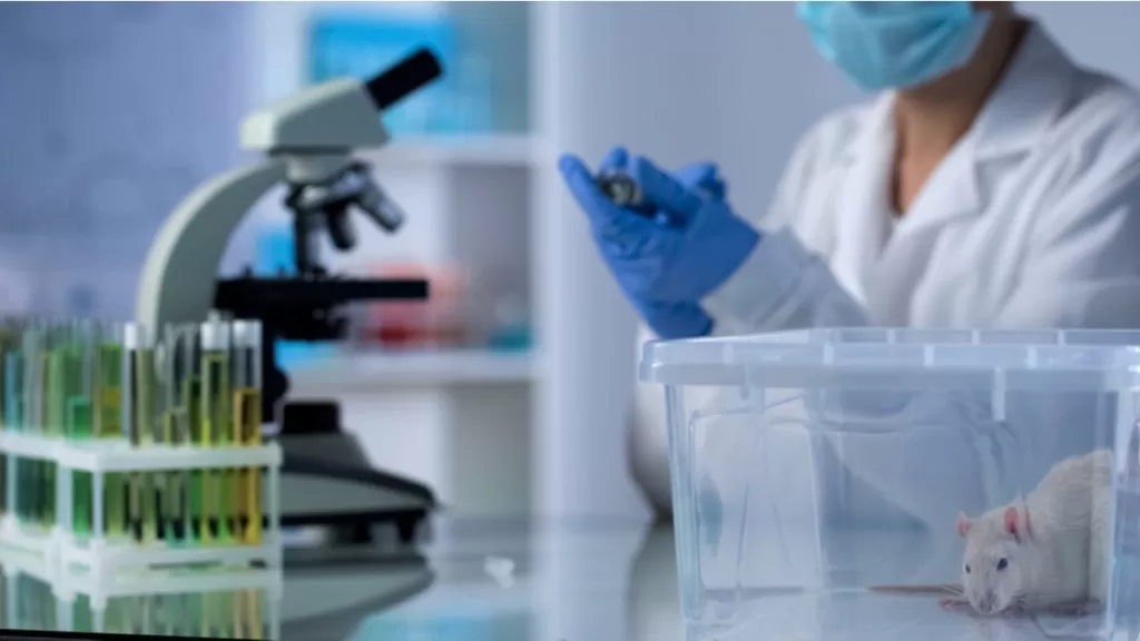 shutterstock 1457046017