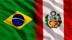 Brasil dona piel humana para víctimas de accidente en Perú