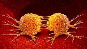 ¿Cómo hacen metástasis las células cancerosas (1)