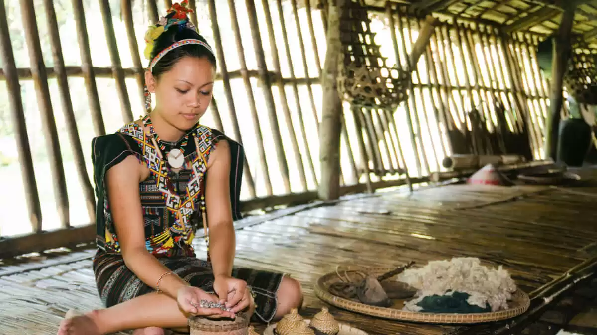 COMUNIDADES INDÍGENAS AL PLAN DECENAL DE SALUD PÚBLICA