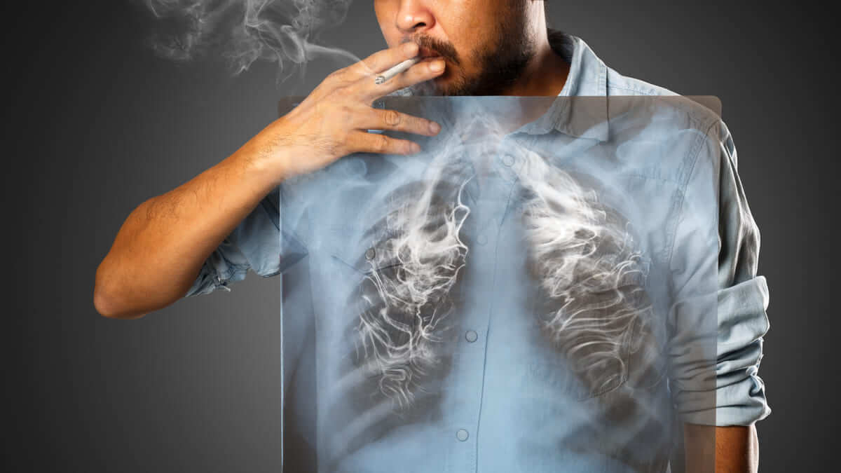 ¿Cómo afecta el humo el ADN de las células pulmonares normales