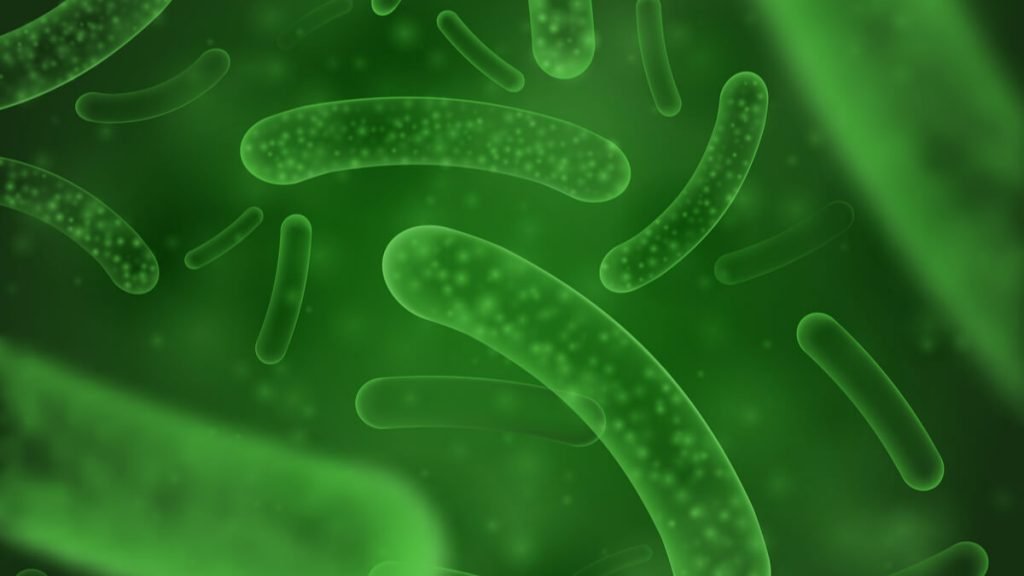Científicos desarrollan primera super bacteria buena que ayuda al sistema inmune