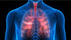 Científicos logran revivir pulmones dañados para trasplante