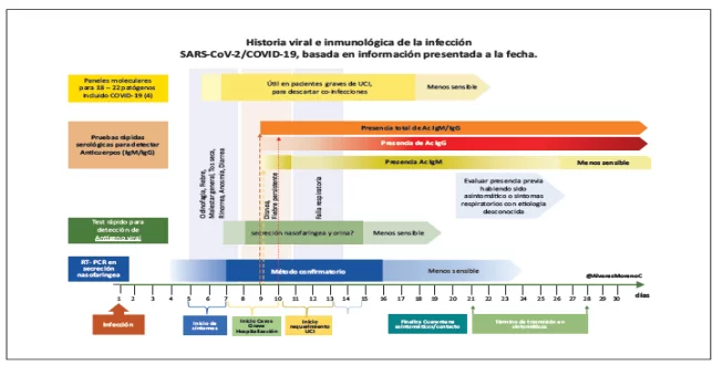 Historia Viral e inmunológica de la infección