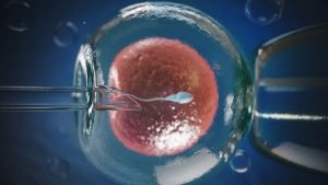 Científicos crean óvulos artificiales a partir de células madre