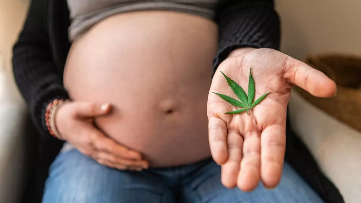 Consumir cannabis durante el ambarazo podría causar autismo en el bebé