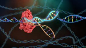 Nuevo sistema CRISPR ayudaría en búsqueda de antibióticos
