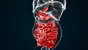 Científicos desarrollaron cápsula impresa en 3D que toma muestras del intestino