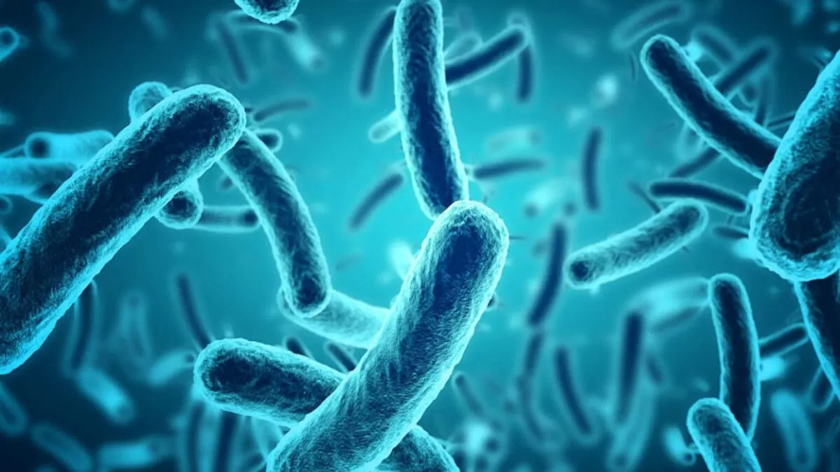 primer caso difteria peru