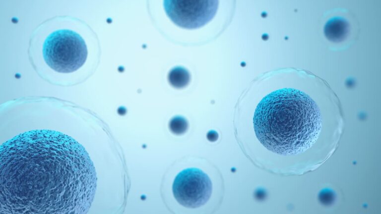 Crean células inmunes que mitigan la propagación del cáncer