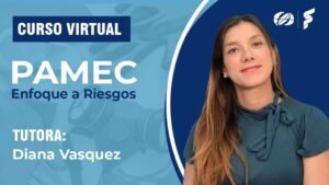 PAMEC: Enfoque a riesgos