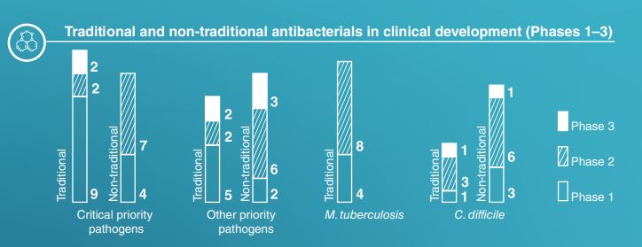 fases de desarrollo de antibioticos