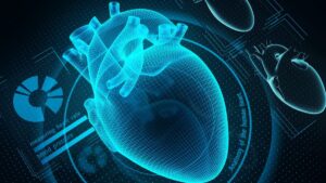 modelo corazon 3d enfermedades cardiacas