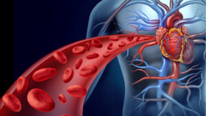 ¿Cómo afecta la hipertensión a los diferentes órganos del cuerpo