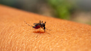 dengue duplica riesgo covid-19 sintomatica