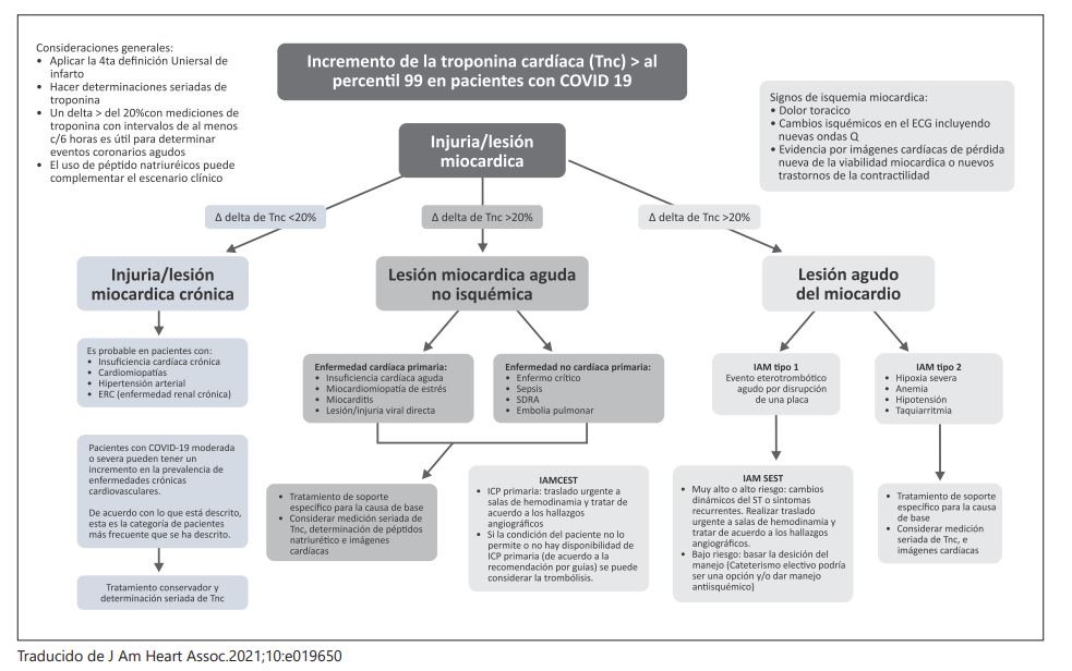 flujograma compromiso cardiovascular sars cov 2