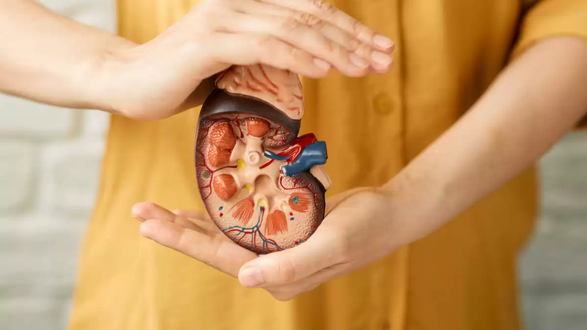 perdida funcion renal asociada casos de demencia