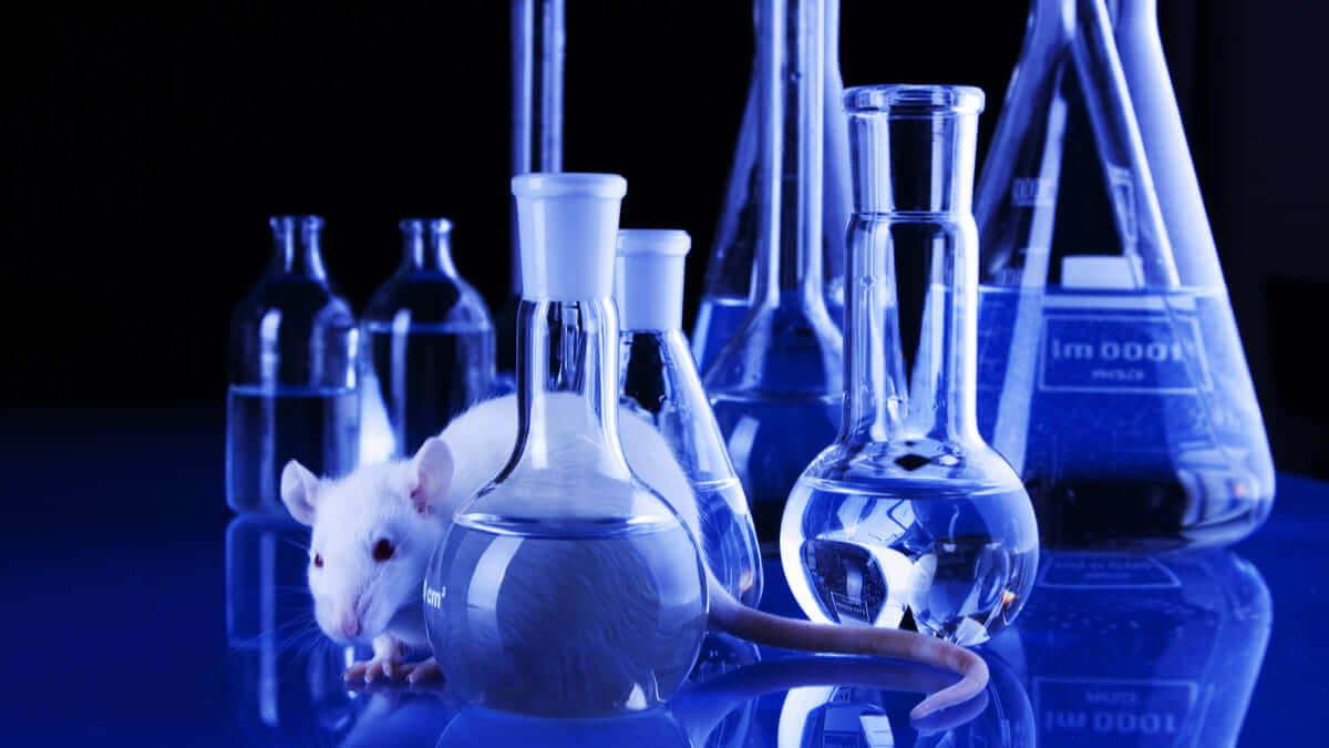 Científicos logran eliminar el cáncer metastásico de ratones