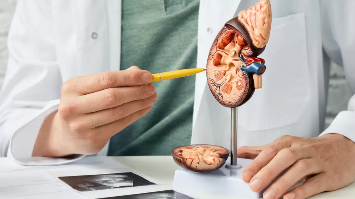 insuficiencia renal cronica es infradiagnosticada