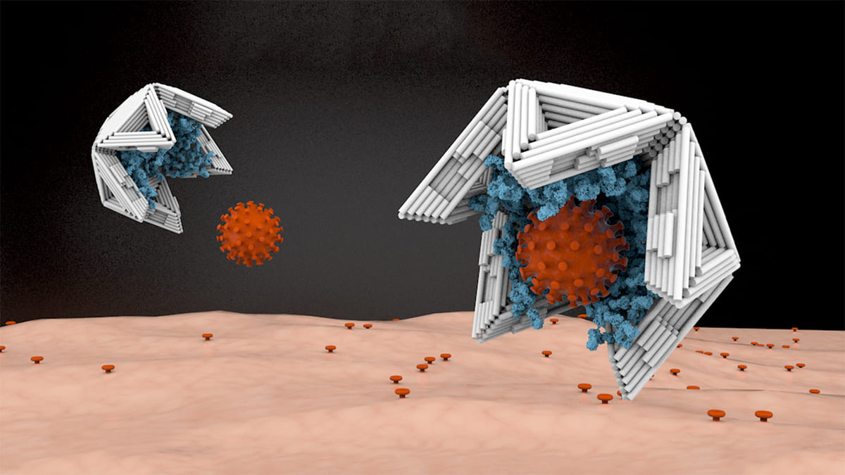 origami adn captura virus organismo. Universidad Tecnologica de Munich