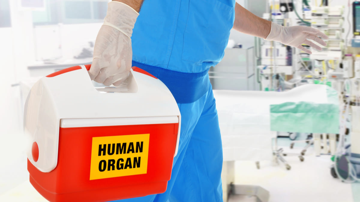 crean dispositivo predice rechazo organos trasplantados