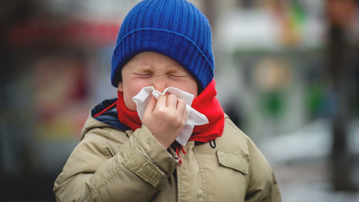 expertos identifican 4 tipos de rinitis alergica niños