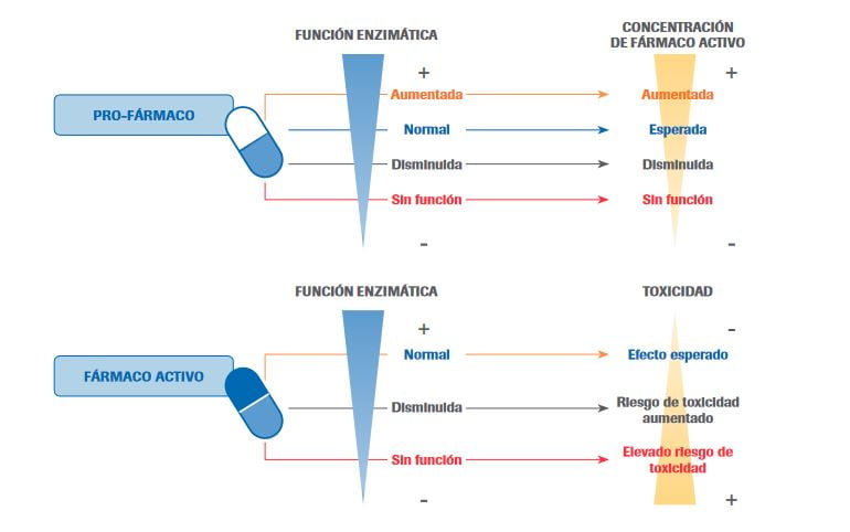 variabilidad respuesta farmacos