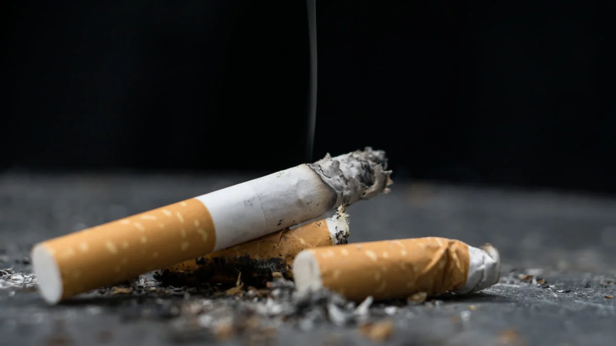 1300 millones personas consumen tabaco en el mundo OMS