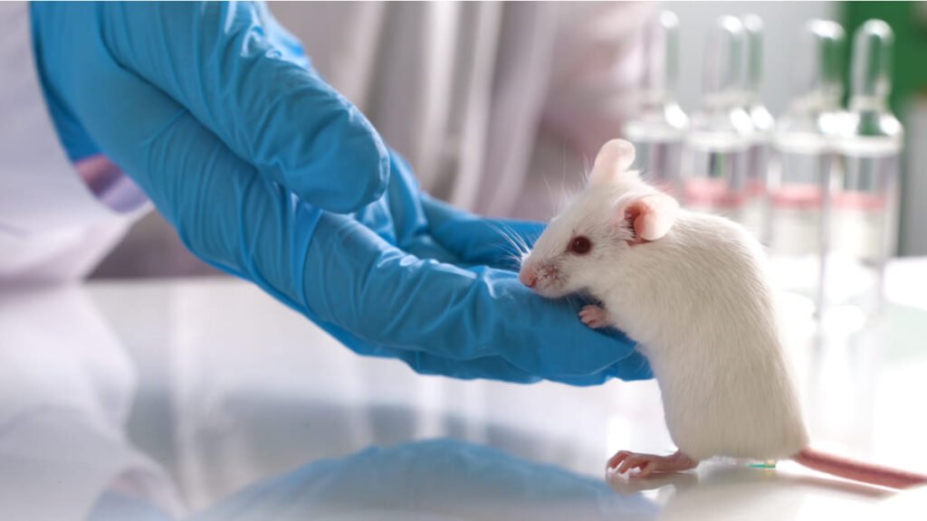 Científicos previnieron la reaparición del cáncer de mama agresivo en ratones
