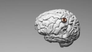 Neuralink lista para probar sus chips cerebrales en humanos