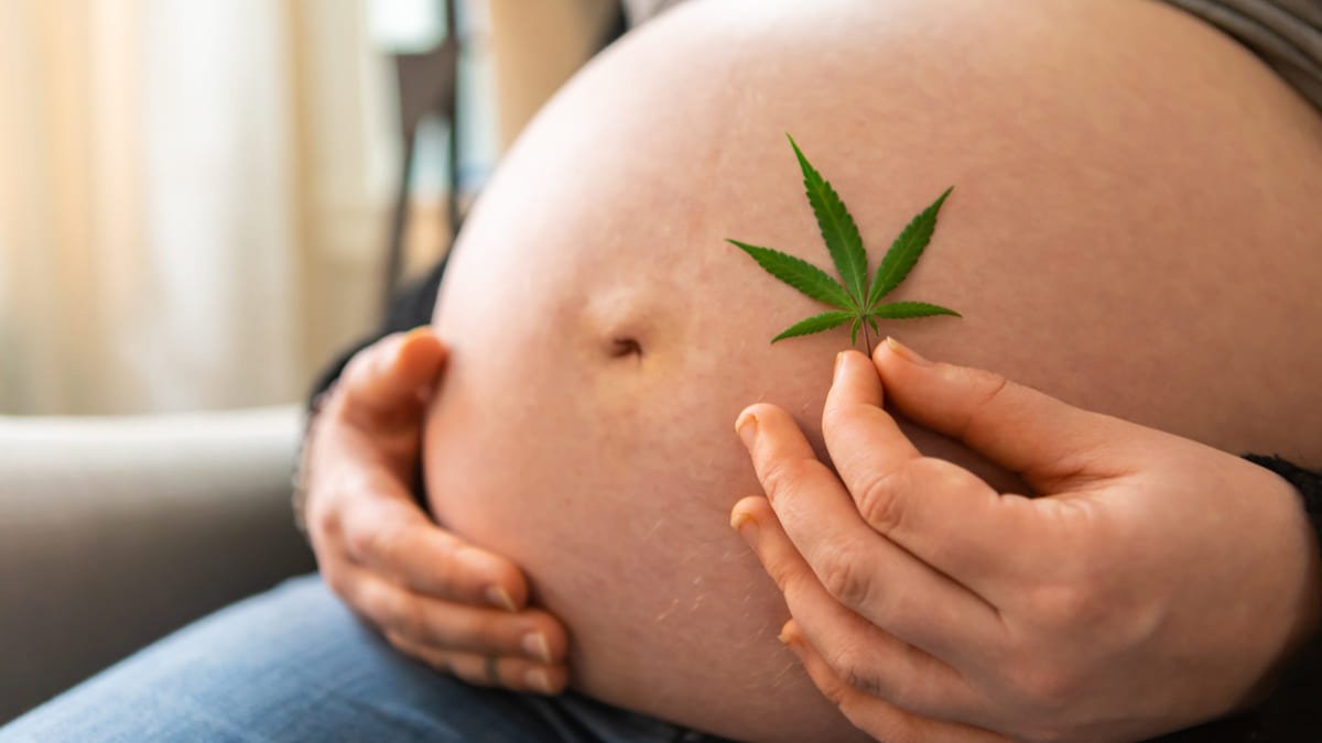 Publican el estudio más grande sobre el impacto del uso de marihuana durante el embarazo