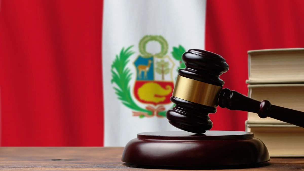 Perú define lineamientos para determinar enfermedades huérfanas de alto costo