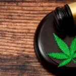 Reglamentan uso medicinal e industrial del cannabis en Colombia