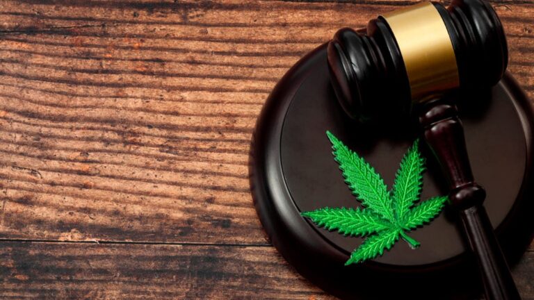 Reglamentan uso medicinal e industrial del cannabis en Colombia