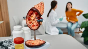 Inicio 123 Enfermedad renal, ¿Cómo afecta a las mujeres