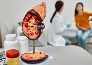 Enfermedad renal, ¿Cómo afecta a las mujeres? 27 Enfermedad renal, ¿Cómo afecta a las mujeres