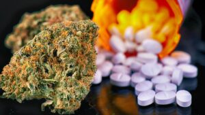 Proponen nuevas orientaciones para el uso de cannabis en epilepsia resistente