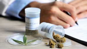 ¿Cuáles son los riesgos del uso de marihuana medicinal - Estudio