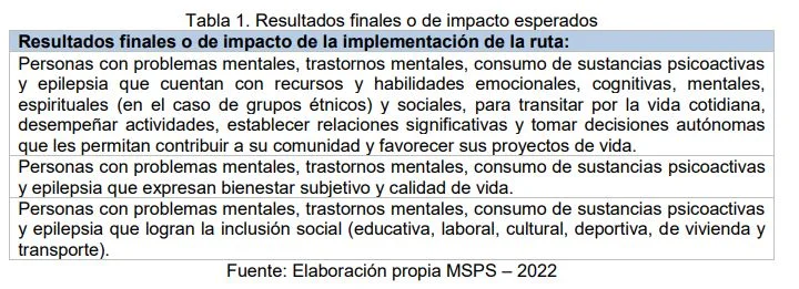 Estos son los lineamientos de la RIA en salud mental 1 resultados impacto