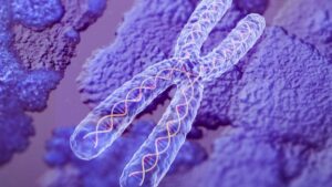 Crean innovadora técnica para detectar errores cromosómicos
