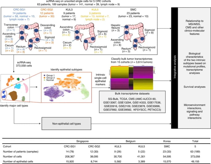 Esquema de analisis cancer colorrectal