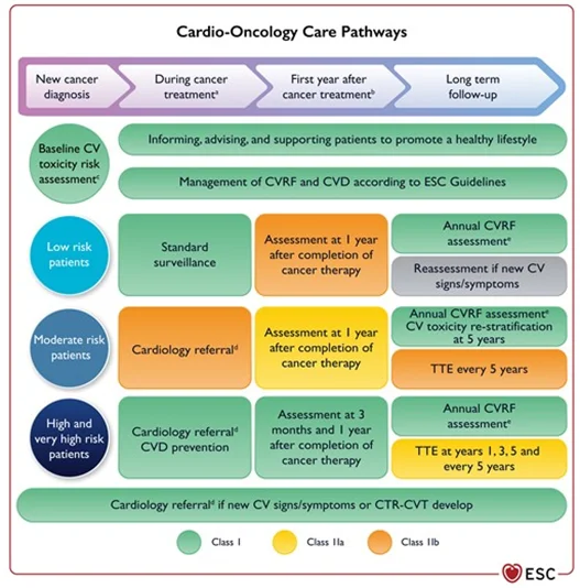 Guía de Cardiotoxicidad en el manejo de pacientes oncológicos 2 2