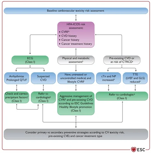 Guía de Cardiotoxicidad en el manejo de pacientes oncológicos 3 3