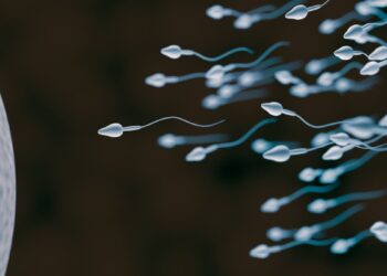 ¿En qué va el primer anticonceptivo hormonal masculino