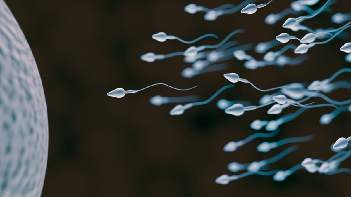 ¿En qué va el primer anticonceptivo hormonal masculino