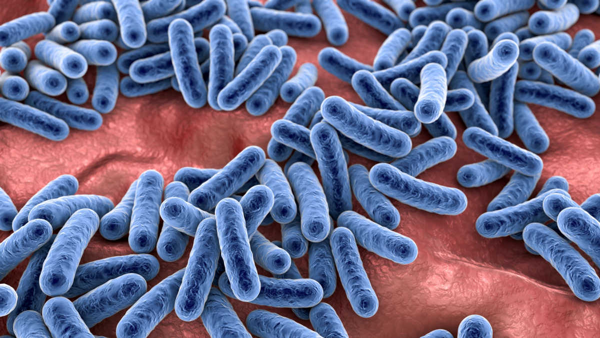Edad y composición del microbioma y su relación con las enfermedades