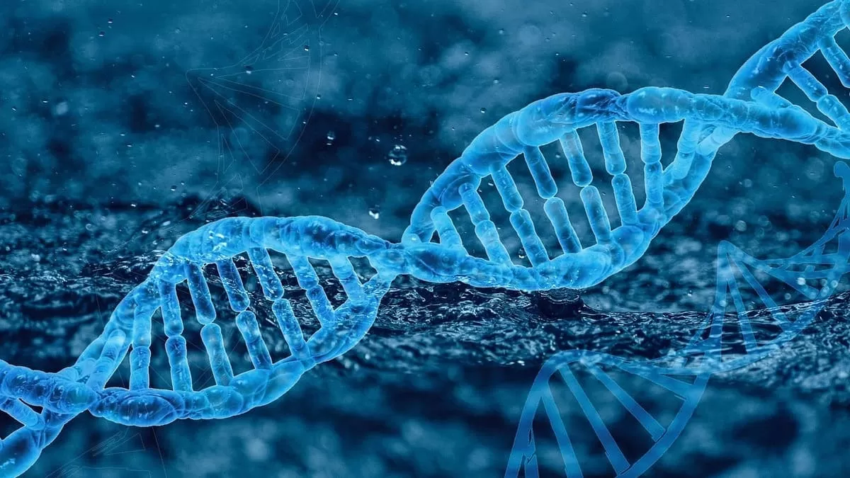 Nuevos hallazgos incrementarían la comprensión de enfermedades autoinmunes